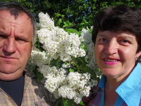 Видео: Печём пирожки, хлеб, готовим другие блюда