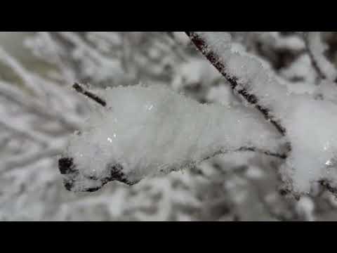 Видео: Никого не будет в доме...Борис Пастернак