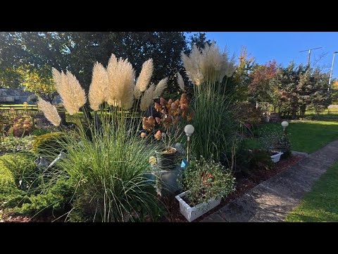 Видео: Осенняя уборка в саду. Часть 1.