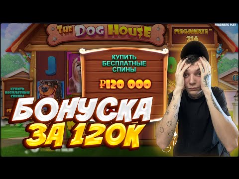 Видео: КУПИЛ ТОПОВЫЙ БОНУС ЗА 120.000 В THE DOG HOUSE MEGAWAYS / ТОПОВЫЙ БОНУС И ЗАНОС В СОБАКАХ