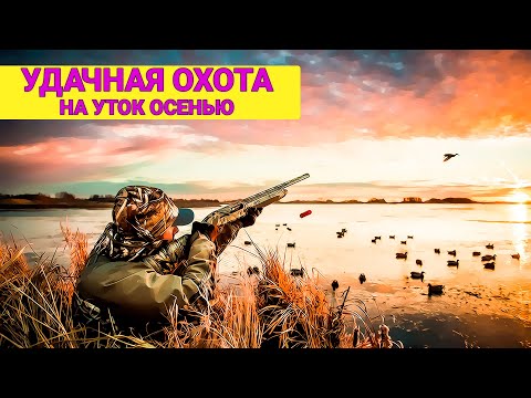 Видео: ОХОТА на УТОК поздней осенью на большом озере. Кряквы и свиязи.