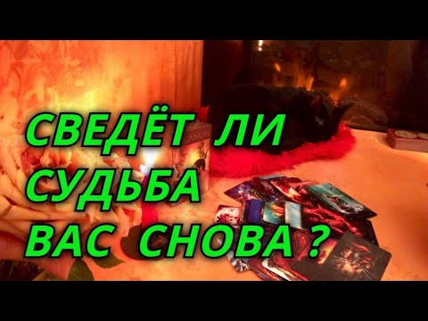 Видео: Сведёт ли судьба вас снова?