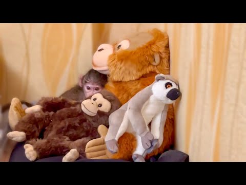 Видео: Как Люська не хотела купаться и ЗАМАСКИРОВАЛАСЬ!