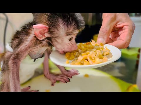 Видео: ВЕСЁЛЫЙ ЗАВТРАК с Люськой удался! Давайте ЗАВТРАКАТЬ ВМЕСТЕ!