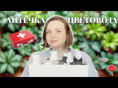 Видео: Как бороться с ВРЕДИТЕЛЯМИ комнатных растений | Аптечка цветовода