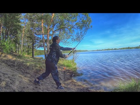 Видео: РЫБАЛКА НА ВОЛГЕ. КИЛОГРАММОВЫЙ ЛЕЩ. Ловлю на донки. Девушка на рыбалке. Fishing