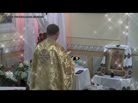 Видео: Акафіст до Всецариці - о.Василь Колодій.