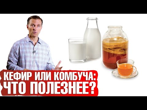 Видео: Чайный гриб или кефир?🥛Что полезнее для здоровья и кишечника?