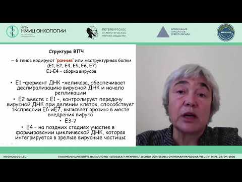 Видео: ВПЧ- это общая проблема? (Харит С.М.)