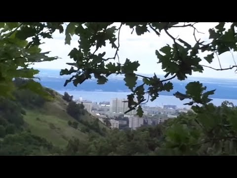 Видео: АСМР. Лесная прогулка. /ASMR. Wood.