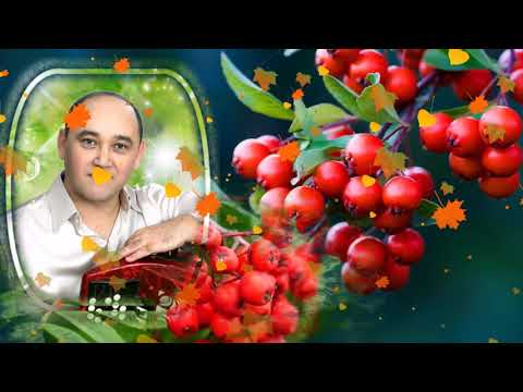 Видео: Мударис Газетдинов -Миләш