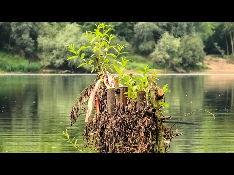 Видео: ОГРОМНЫЕ РЫБИНЫ НА ПЛЕТНЕ! ПРОШЕЛ МЕСЯЦ ПОСЛЕ ПОСТРОЙКИ. СУПЕР РЫБАЛКА НА ПОПЛАВОК.