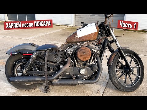 Видео: ПОПАЛИ НА ДЕНЬГИ! Купили СГОРЕВШИЙ ХАРЛЕЙ из США... Часть 1
