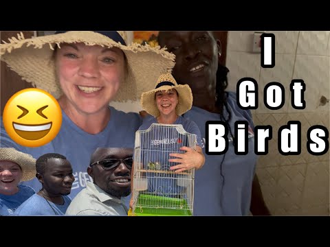 Видео: У меня есть птицы 🐦 ♥️♥️😆