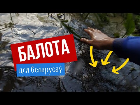 Видео: Пекла, карыснае месца ці звыклая рэчаіснасць? Пошук багніка ды пра балота ў светапоглядзе беларусаў
