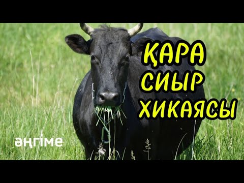Видео: ҚАРА СИЫР ХИКАЯСЫ әңгіме авторы Нығметжан Әбенов#аудиокітап#аудиоәңгіме