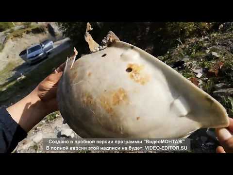 Видео: Текели, Алматинская область. наша Швейцария