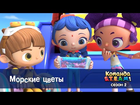 Видео: Команда S.T.E.A.M. Сезон 2 - Серия 1.Морские цветы - Премьера мультфильма
