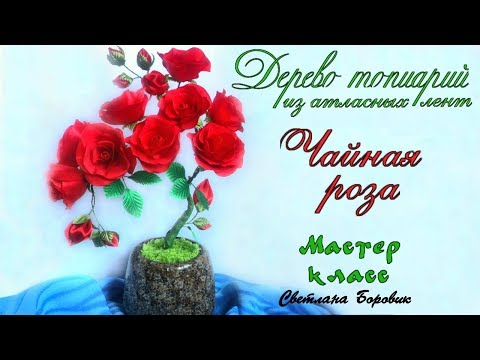 Видео: Топиарий бонсай дерево чайная роза канзаши из атласных лент МК. DIY Topiary tree Tea Rose kanzashi