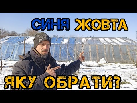 Видео: Яку обрати плівку для теплиці?