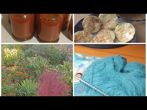 Видео: Порядкую на кухні, на городі, в квітнику та садку. Нарешті повернулася до в'язання!🤗