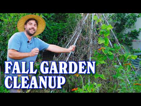 Видео: Уборка остатков в летнем саду