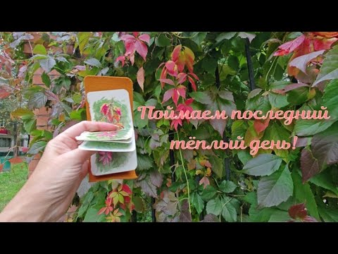 Видео: Plein Air day/ Последний тёплый день