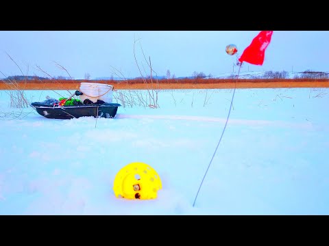 Видео: РЫБАЛКА НА ЖЕРЛИЦЫ.Я НЕ СДАЛСЯ И БЫЛ ВОЗНАГРАЖДЁН!!!
