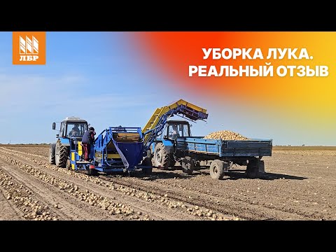 Видео: Комбайн ПЛ-1 на уборке лука. Опыт выращивания лука в Амурской области