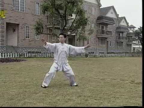 Видео: 6-9 формы из Тайцзи 24 формы. Tai Chi The 24 Forms (6-9). Учебный ролик 2.1/4.