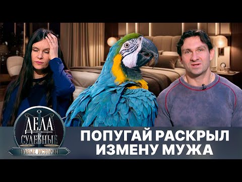 Видео: Дела судебные с Еленой Кутьиной. Новые истории. Эфир от 22.04.25