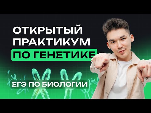 Видео: ПРАКТИКУМ по ГЕНЕТИКЕ | РЕШЕНИЕ ЗАДАЧ №28 | NeoFamily