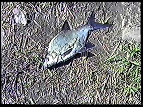 Видео: Слово о джиг спиннинге. Константин Кузьмин