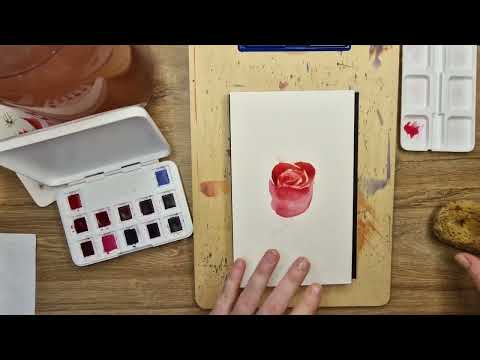 Видео: Акварель. Урок рисования розы акварелью. How to draw a rose by watercolors