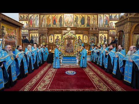 Видео: Акафист перед чудотворной Святогорской иконой Божией Матери 29.7.23 г.