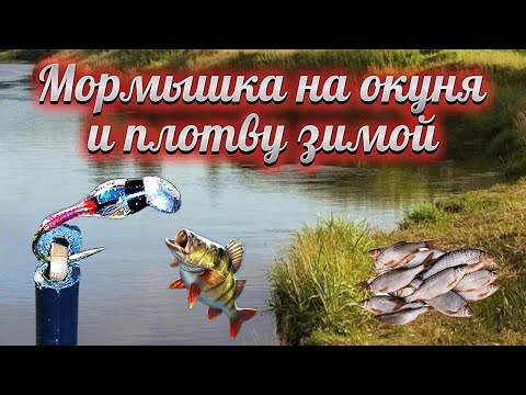 Видео: Мормышка на окуня и плотву зимой