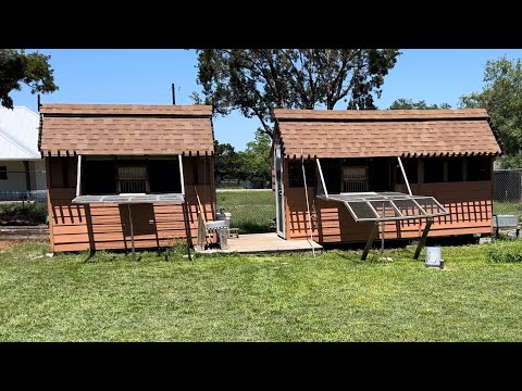 Видео: Голубиные гонки — дом Джемала Янссена в Паломаре. Голубиные гонки от Крейга Нидевера.