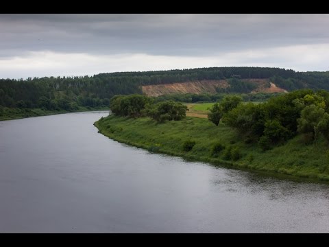 Видео: С нахлыстом по Верхнему Дону | Один на реке - путешествие продолжается...