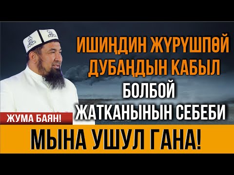 Видео: ИШТЕР ЖҮРҮШПӨЙ, ДУБА КАБЫЛ БОЛБОЙ ЖАТСА АНДА УК! // Нурулло устаз