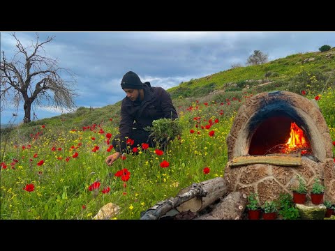 Видео: Час жизни в вымышленной палестинской деревне, кулинарные рецепты с ароматами гор