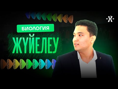 Видео: ЖҮЙЕЛЕУ | БИОЛОГИЯ ҰБТ 2026 | БЕРІК АҒАЙ