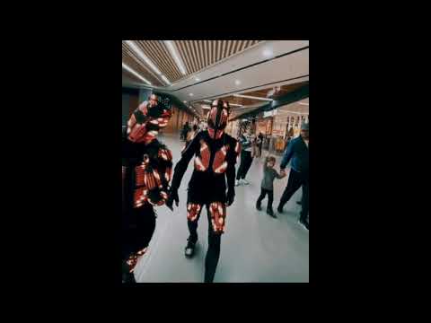 Видео: хищники света