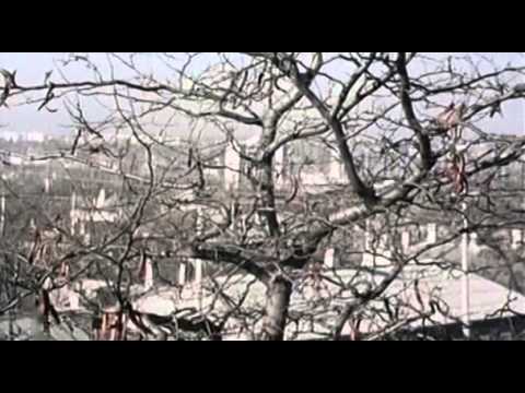 Видео: Симферополь 1978 год (из фильма "Мой первый друг")