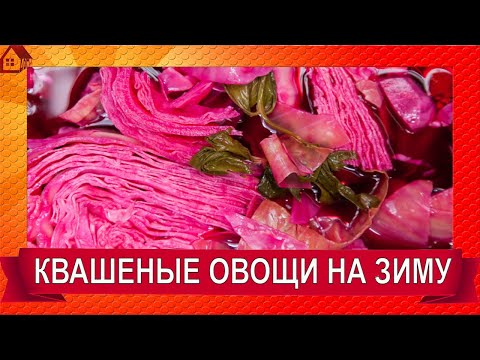 Видео: Засолка овощного ассорти / Квашеные овощи для долгого хранения / всегда хрустящие