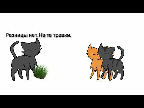 Видео: Коты Воители в двух словах/первый цикл (Огонь и лёд)