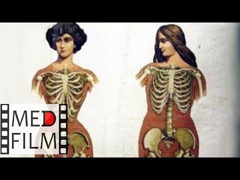 Видео: Орган равновесия © The organs of balance