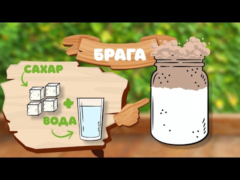 Видео: Домашний самогон в XXI веке | 1 часть | Ставится брага, объём пропорции, оборудование