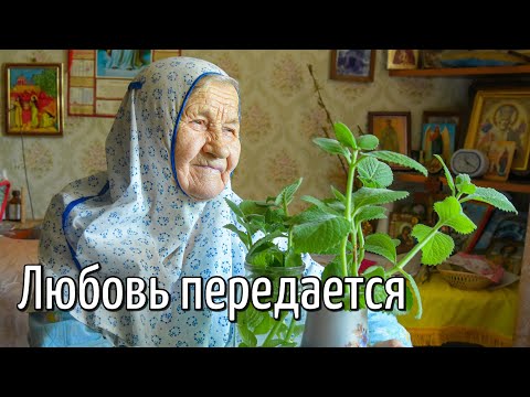 Видео: "Любовь передается". Схимонахиня Савва. Фильм 3-ий. Никольское