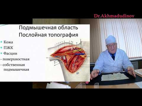 Видео: Верхняя конечность - топография. Часть 2. Проф. Ахмадудинов М.Г.
