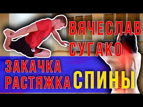 Видео: Болит спина. Как закачать и растянуть спину. Вячеслав Сугако. Калининград / Дневник ММА